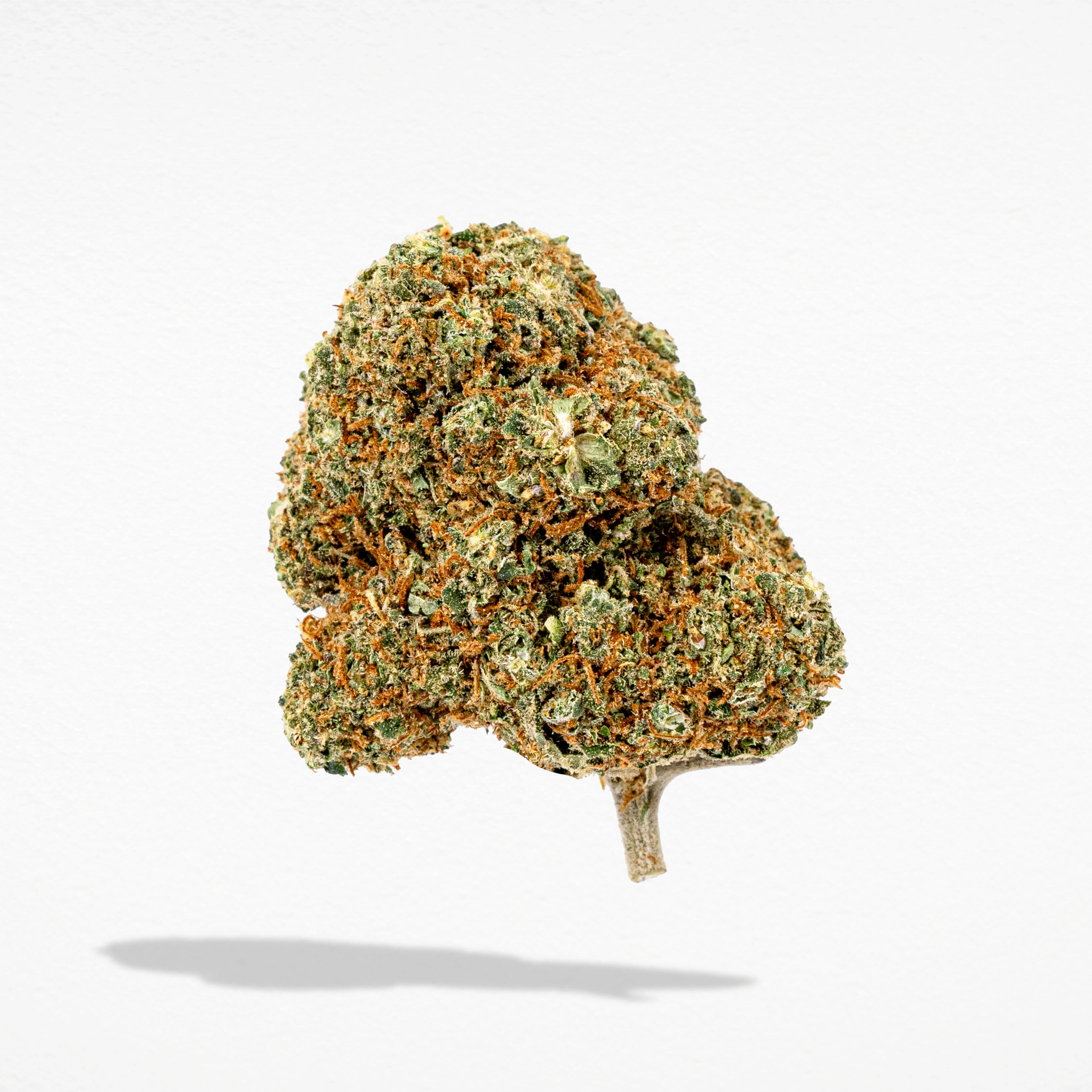 Miniature 3